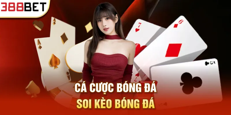 Cá cược Bóng đá soi kèo bóng đá