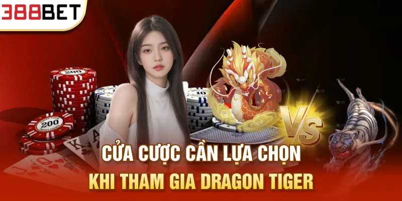 Cửa cược cần lựa chọn khi tham gia Dragon Tiger
