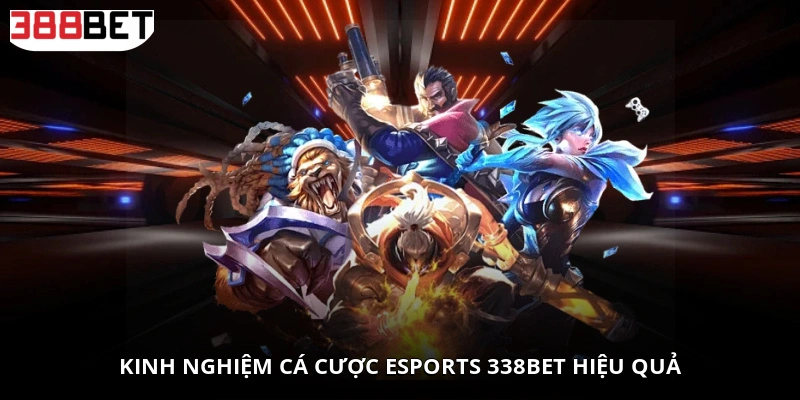 Kinh nghiệm cá cược Esports 338BET hiệu quả